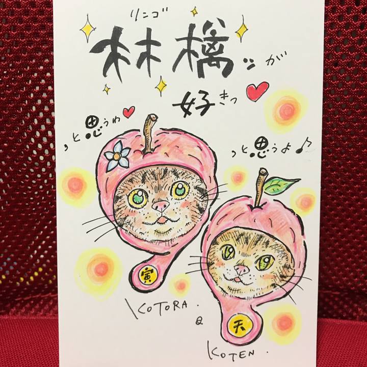 71f8c015 33b1 4b16 a146 38b2a04ab47e 1574436031290