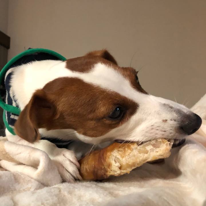 71f8dd8b b0f2 4dc6 8e7e 850f052840a1 1538201685903