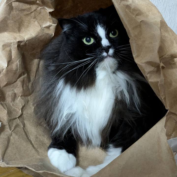 71f8e3d7 5e31 48a9 8d2f d7d6b14f85ec 1727999046852