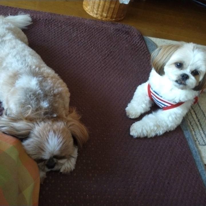 71f8e5e8 3da2 4ff7 ba52 1de6c7cd570e 1680074604167