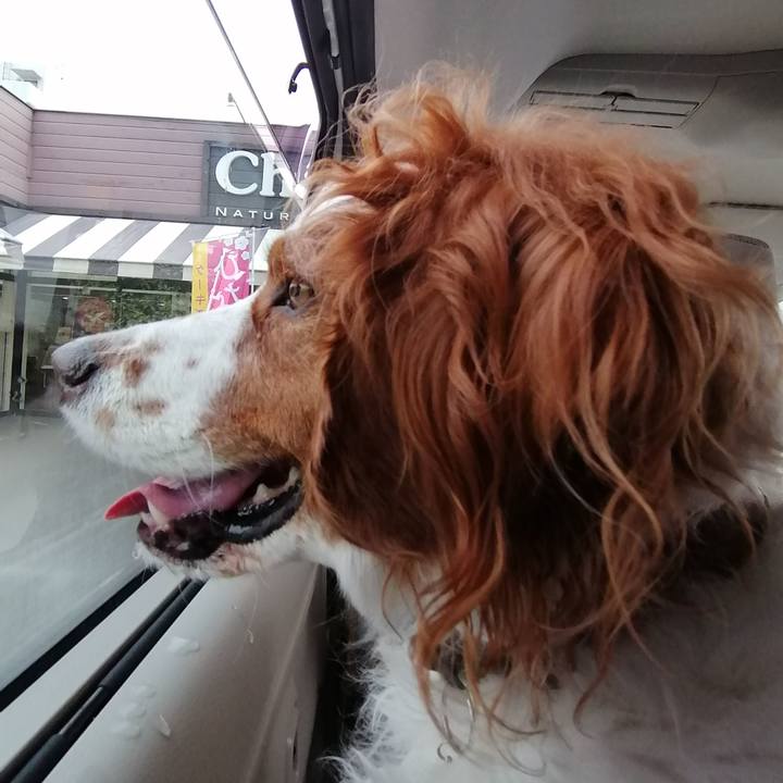 71f90385 0300 49bb 9c1f 3350a5d7208c 1582460122748