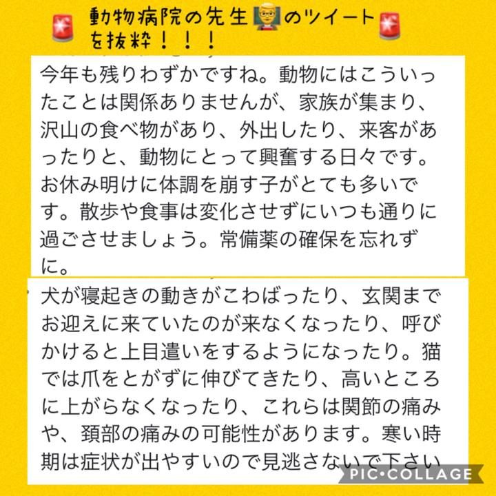 71f93928 e715 4ecb a85d 5be412cd6532 1577511342243