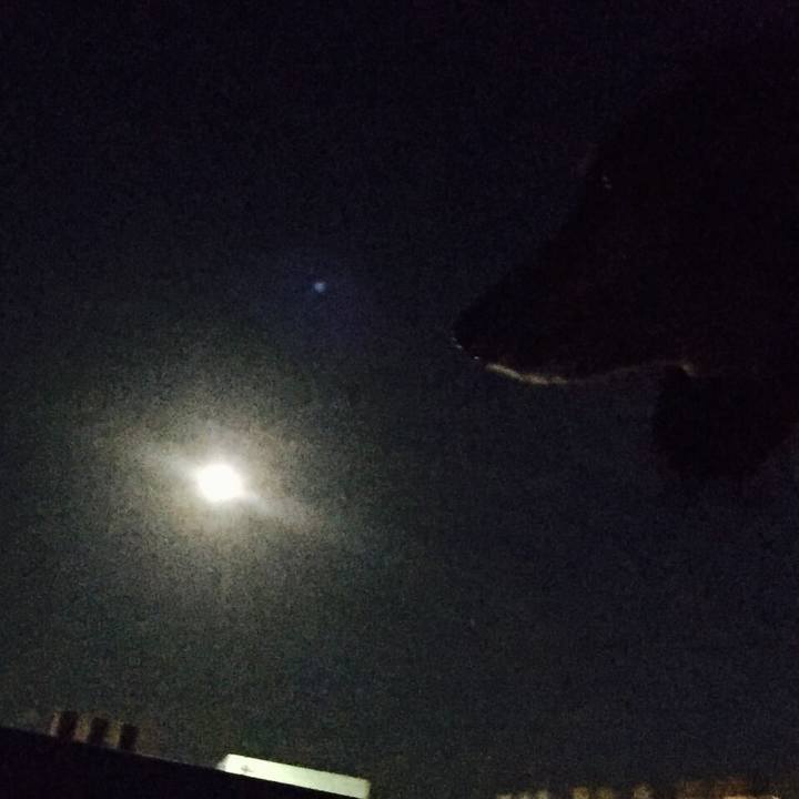 71f986d1 a2c3 474b 8923 0318f7c9d523 1540375857867