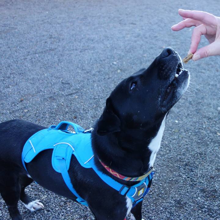 71f9966d f4f6 44cf bcce 49aaa64ccbfd 1610150813522