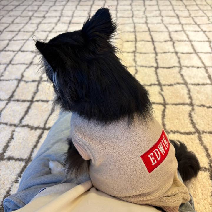 71f9c32c e8c7 4a8f 8151 5231a9b255f7 1734194124757