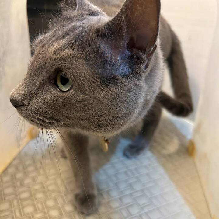 71f9e77d 7f48 40c8 89c1 66cc2b58c017 1748737829382