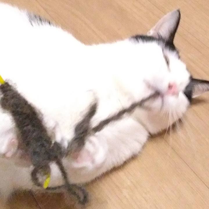 71f9f587 f2c1 41c8 a4ca 44c356c3049d 1518333376010