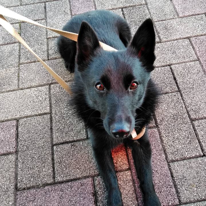 71fa1854 7dfb 4517 807f 3fb1b1ddba09 1578826047366