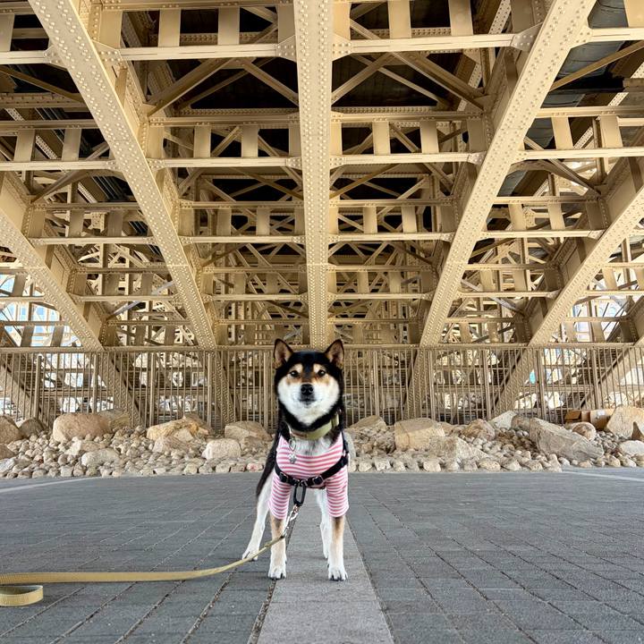 71fa1ce6 0e5b 4290 8cbd 478ce62e4c93 1771679432998