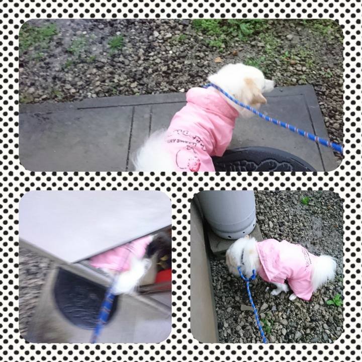 71fa2025 4b4f 4be6 8efb 38db8b50e776 1508708595765