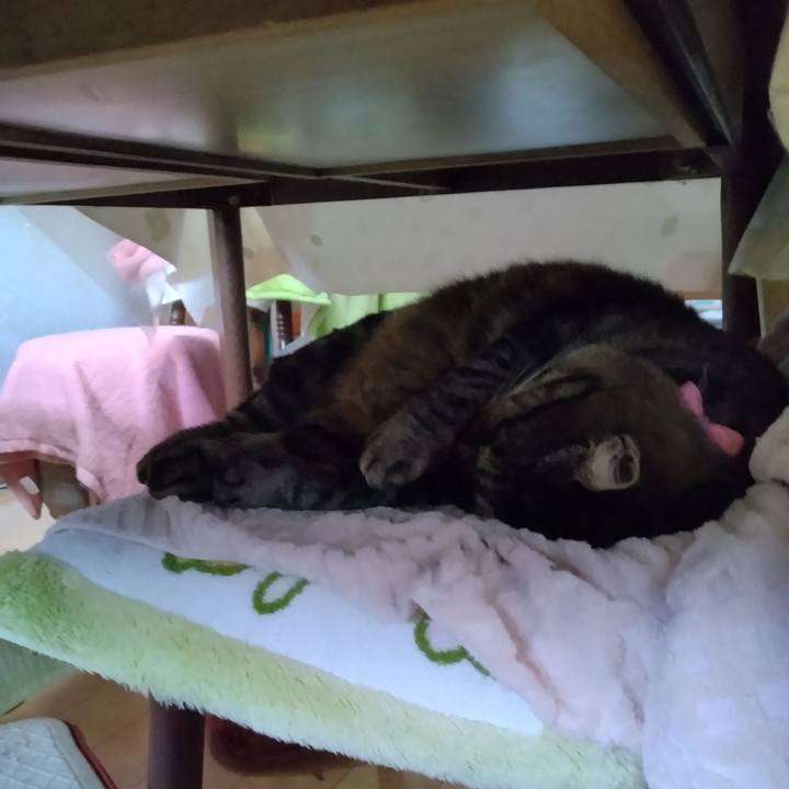 71fa3872 33b0 458d 93c7 811b0879fa69 1668378540085