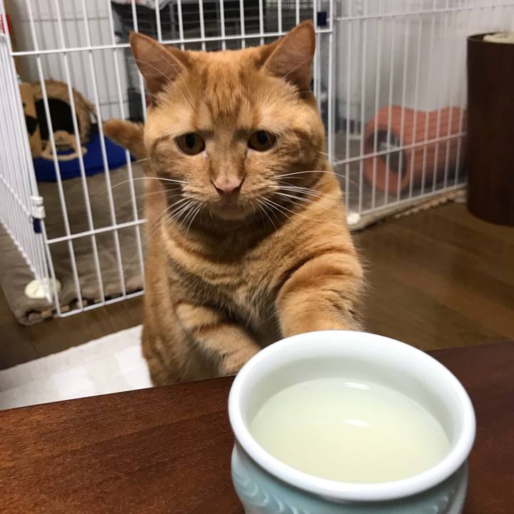 71fa8ea3 e332 47e7 a3d6 de300f3dfe10 1538657429739