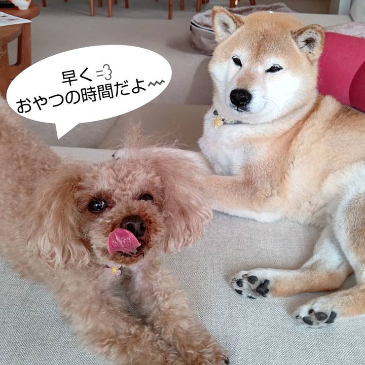 71fab0a2 53ad 4dfd 8758 6653f88915d9 1617858385230