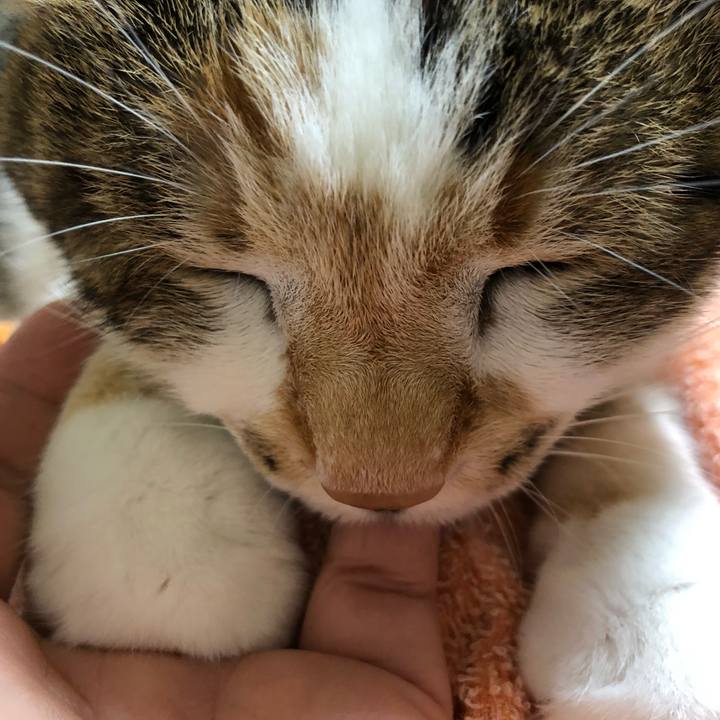 71fab89c d82e 4e76 80d0 686aa653e19b 1545346887581