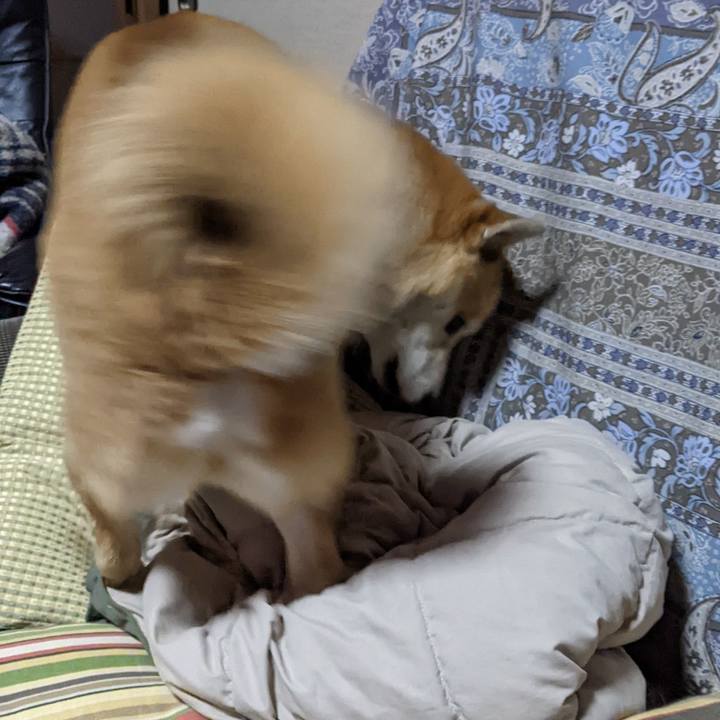 71fb2d8a a522 4485 85df 4374fa71ec5c 1645611805607