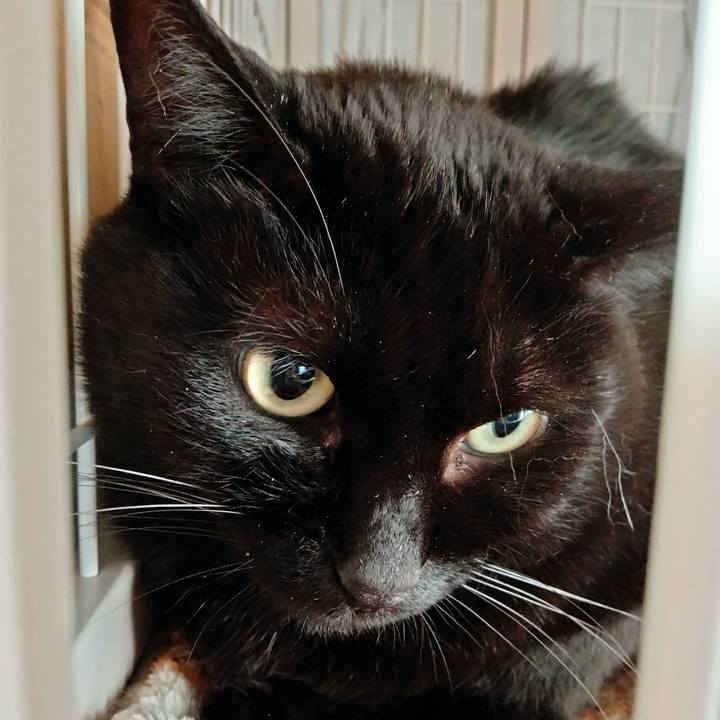 71fb5757 ca41 46ab 81f8 d6b9f7f78526 1643980524491