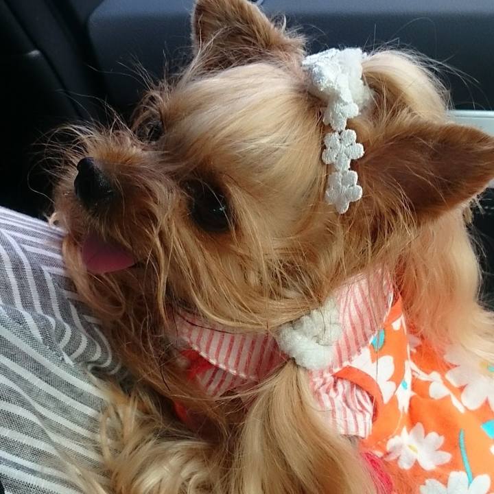 71fb60b4 99f2 4861 b88b 3115b291ee19 1758610587090