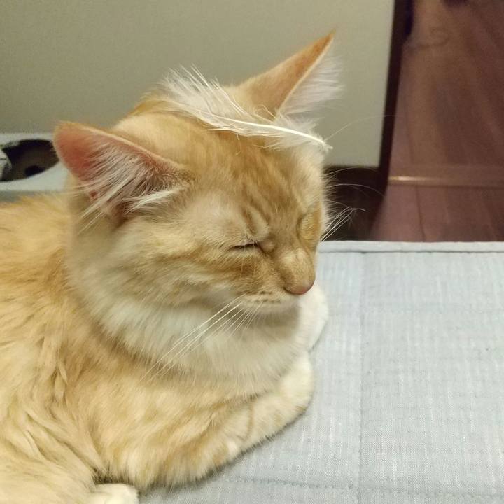 71fb96c2 8fb2 4cfa 88dd 4f243817f151 1617287141281