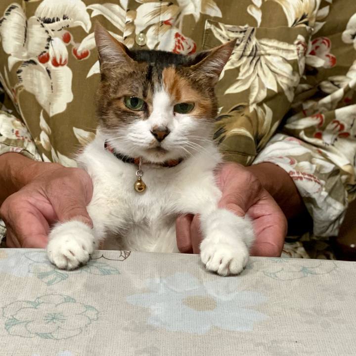 71fb9772 2ec1 4cb8 a440 295cc4716382 1665795227363