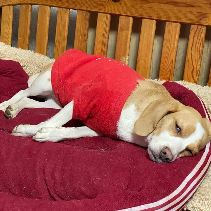 71fbae35 a392 4585 a616 c5d3210a6947 1583388812145