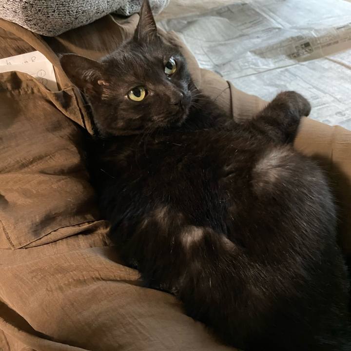 71fbbd81 cb23 4c9d 8b48 b58db7ab0f56 1587190311951