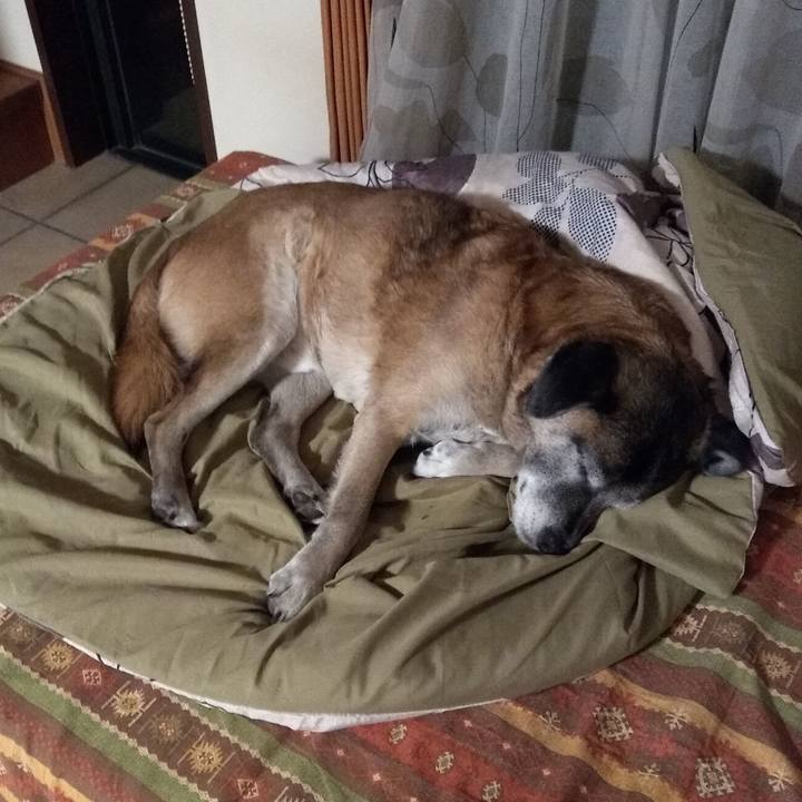 71fbc76f f3d4 4a04 b9d4 e1b6e507cf53 1547674649940