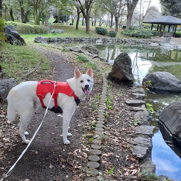 71fbf7a5 3264 4f17 9065 f50ca538d1cd 1762145336097