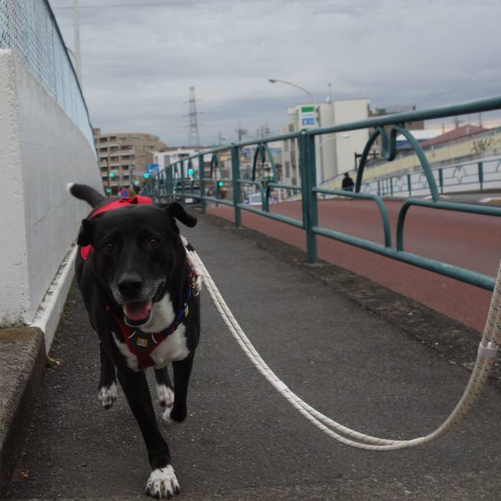 71fc6e66 546d 4214 b5a0 22bd58cd0100 1666661091027