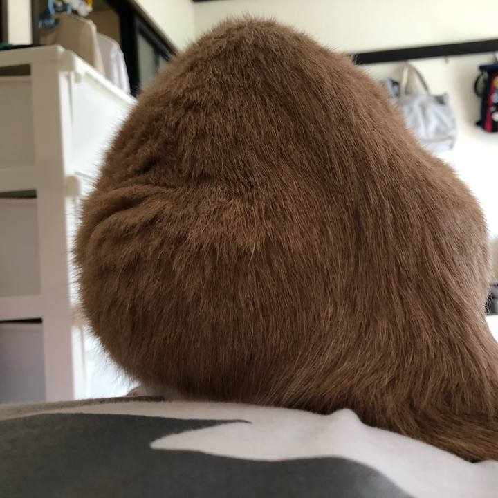 71fc7c95 df28 4436 b3c3 4c3ad653ef35 1596939226388