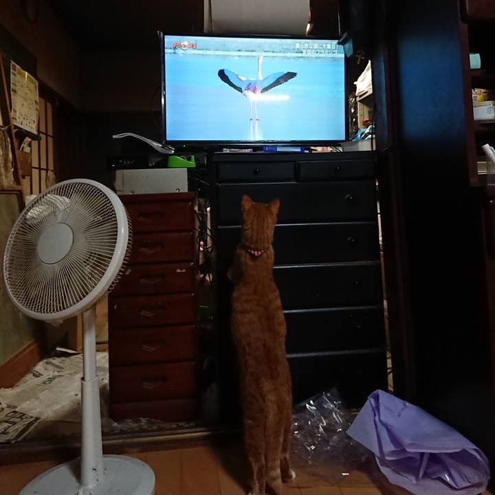 71fc94ea e481 4cf8 a2cd 88096dc088d2 1600598857609