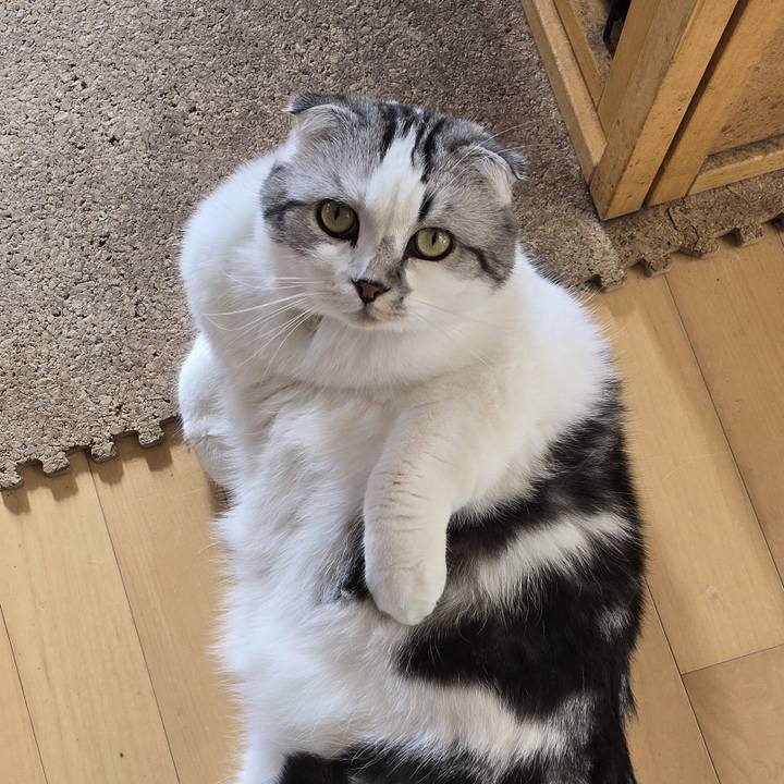 71fc968a d883 4f81 b1ed 4a1580ddce55 1763944428708