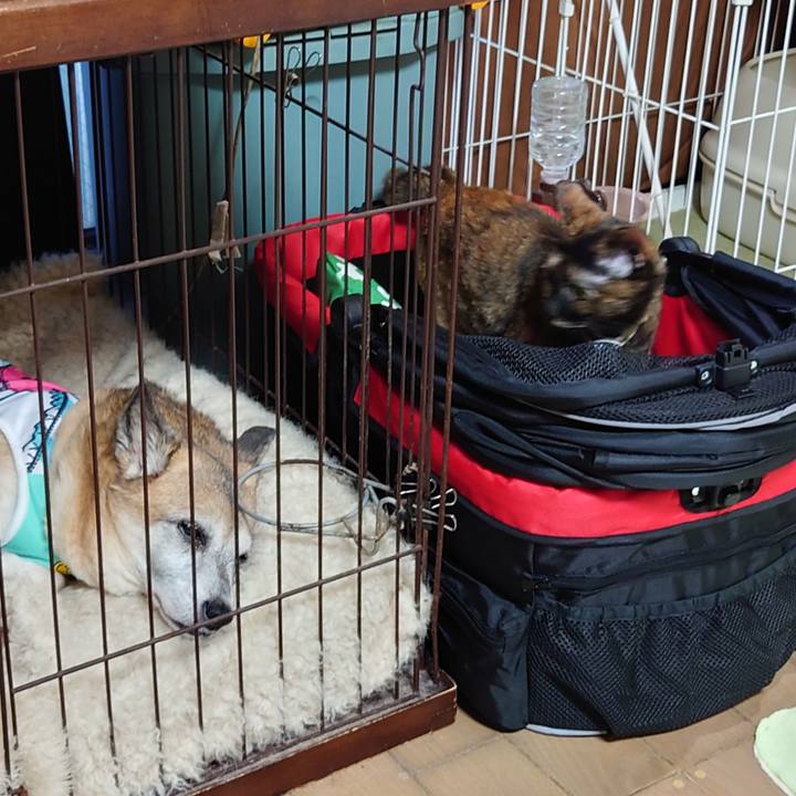 71fcb4b7 ca86 4394 a88a 7010bc7313df 1658750513192