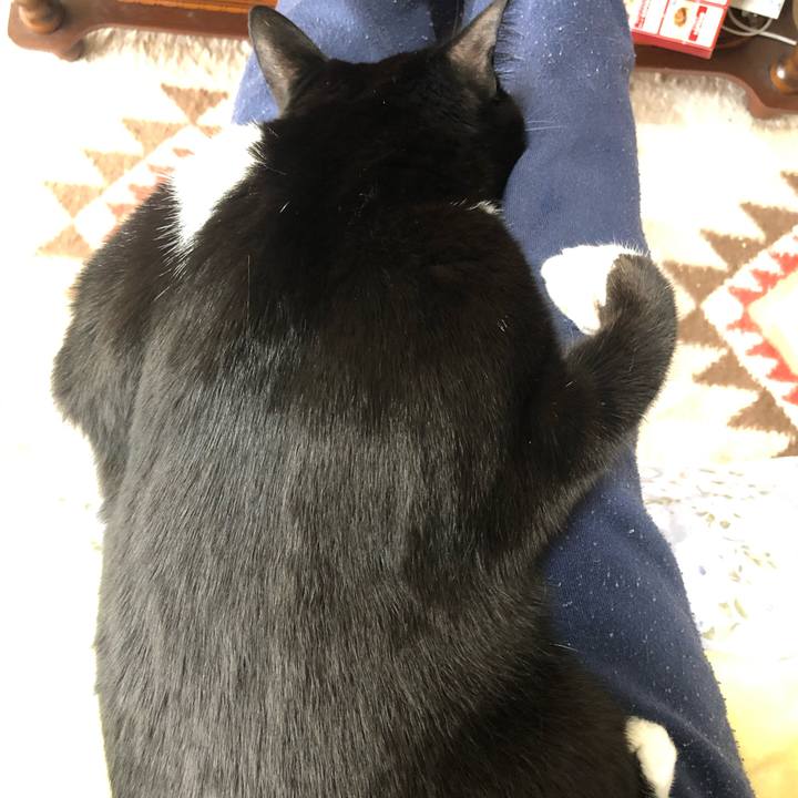 71fcd7d0 0c94 4b99 873e 8c0598583859 1579473673603