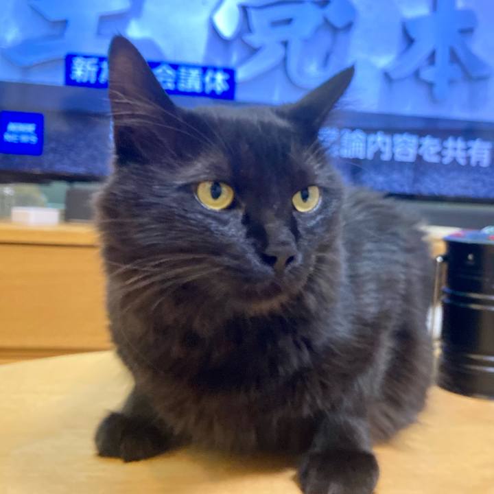 71fcfb79 70bf 408e b94e 30165137f6c3 1719358239954