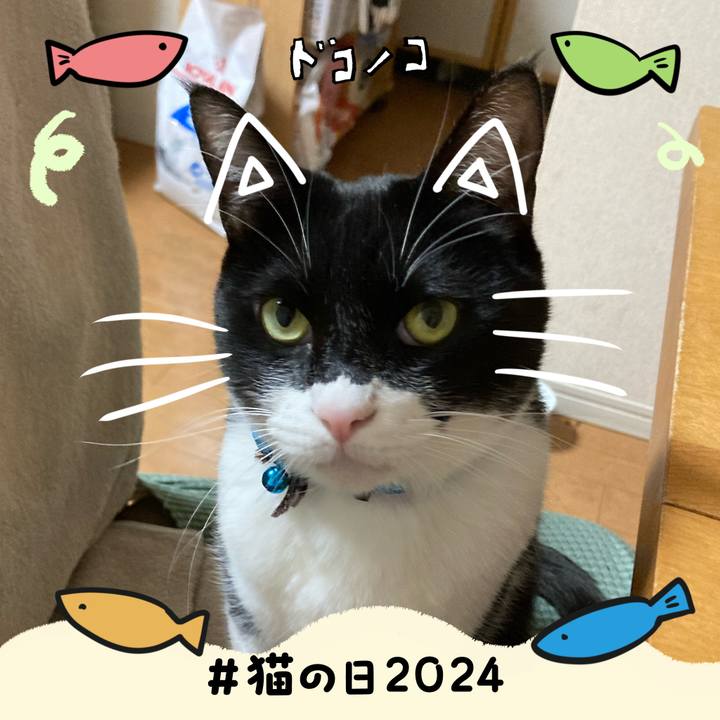 71fd4af2 399e 48f3 ac38 54b5c42392ef 1708597710960