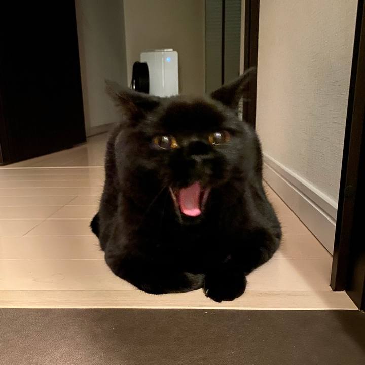 71fd5225 f013 4ef0 a7b9 bb5170ba55ea 1633608445729