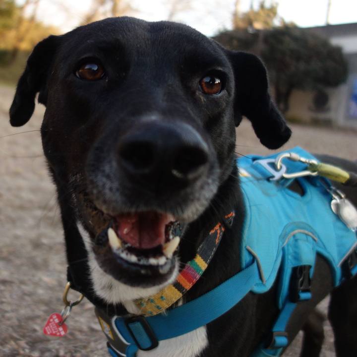 71fd6d27 291b 41a4 bc01 568d52f7dcbf 1611188095014