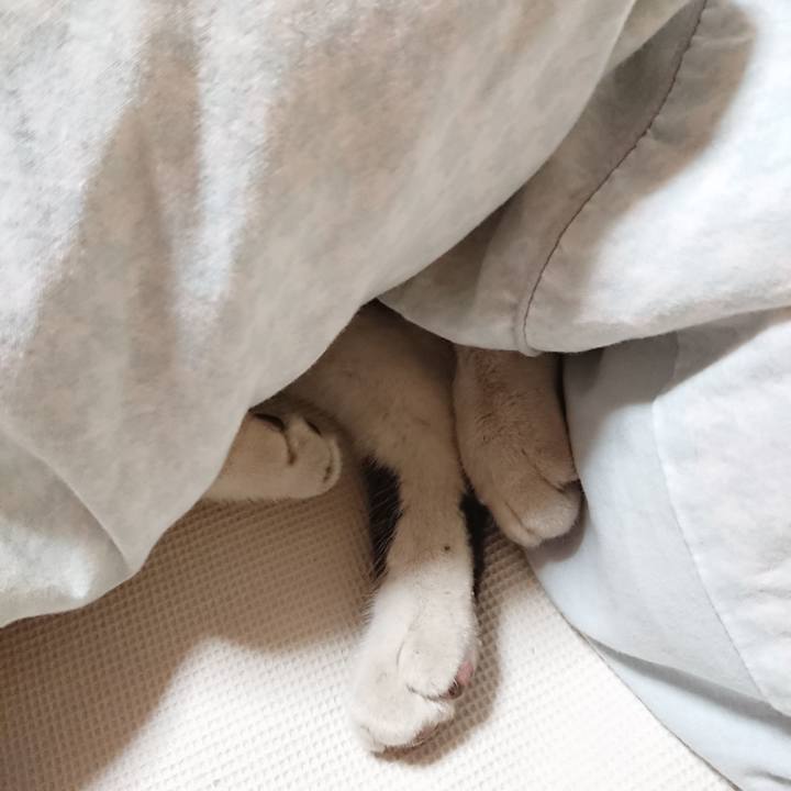 71fd8ec3 3944 4f93 baa7 782daa07993d 1606175637326