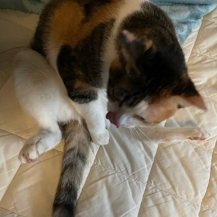 71fd9372 cca6 4358 84ba 1d0bc9500dbf 1632642442733