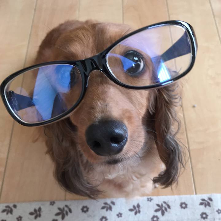 71fd9c1e b5ef 4b59 9b6f e3ce80cb5725 1531520285313