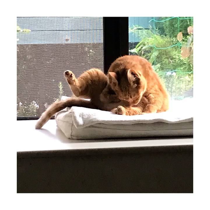 71fdbc41 1904 401d 97e2 3950ef402c84 1662773733151