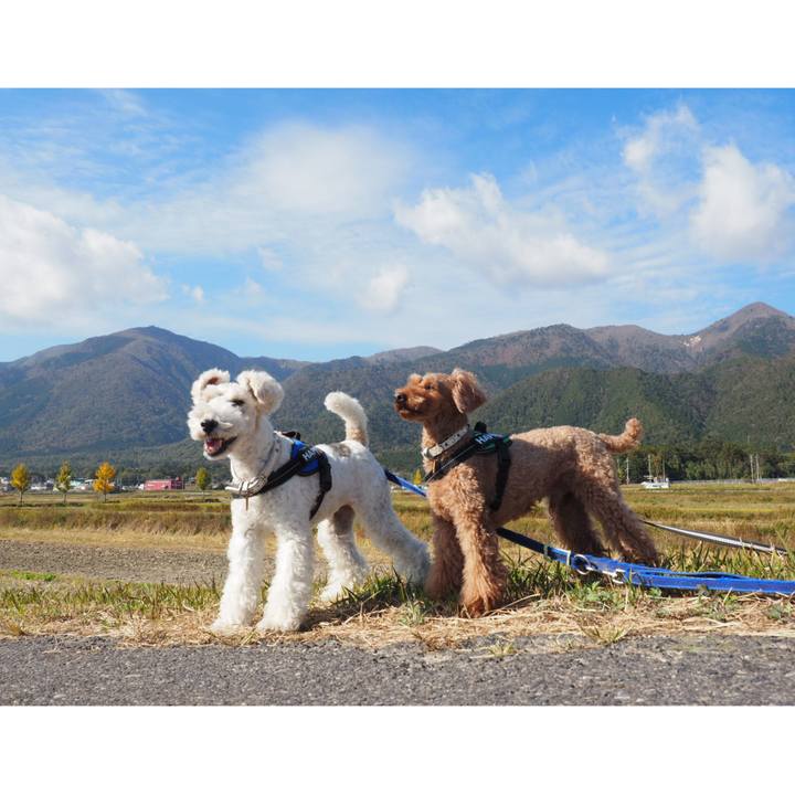 71fdda9b cad1 4b5a 8fa2 71553d53aeca 1542637808707