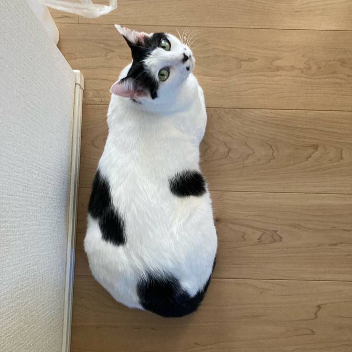 71fe15bf 4409 4334 bb59 70405a6ac31c 1761541315388