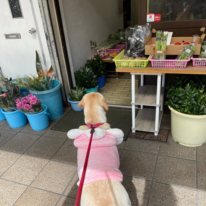 71fe2091 7b80 4aab 83d2 0f96e754410a 1634540434813