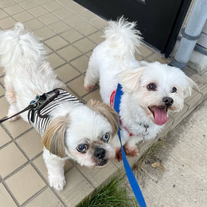 71fe221b 6684 41c5 a983 8c773fdd7af1 1656458261371