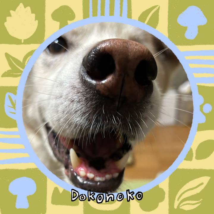 71fe3d91 4679 4f34 9781 0fd415332ce8 1761230878869