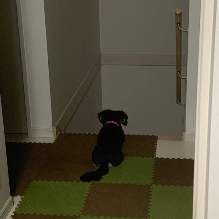 71fe55e5 b728 4a23 b6f5 1771b12af00b 1558389936416