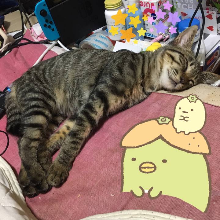 71fe6991 4b1a 4d6a 951c 5182fa6d4b76 1537606826597