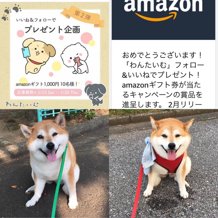 71feaeb2 5d60 4b01 a6de 8860da5bb524 1643078674768