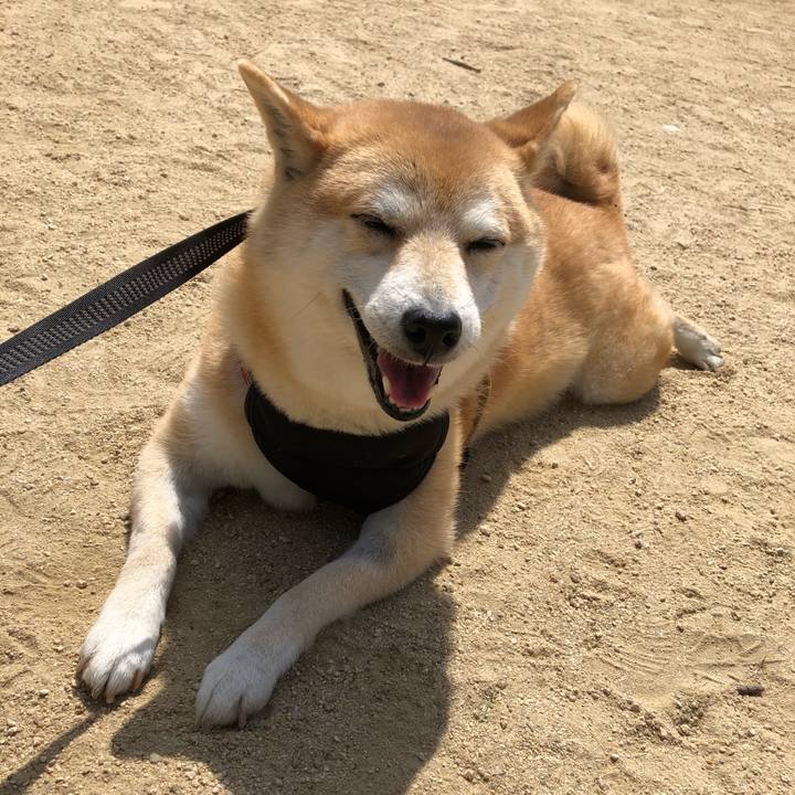 71fec08b 9daf 4889 b543 6cbbff19213f 1558074564055